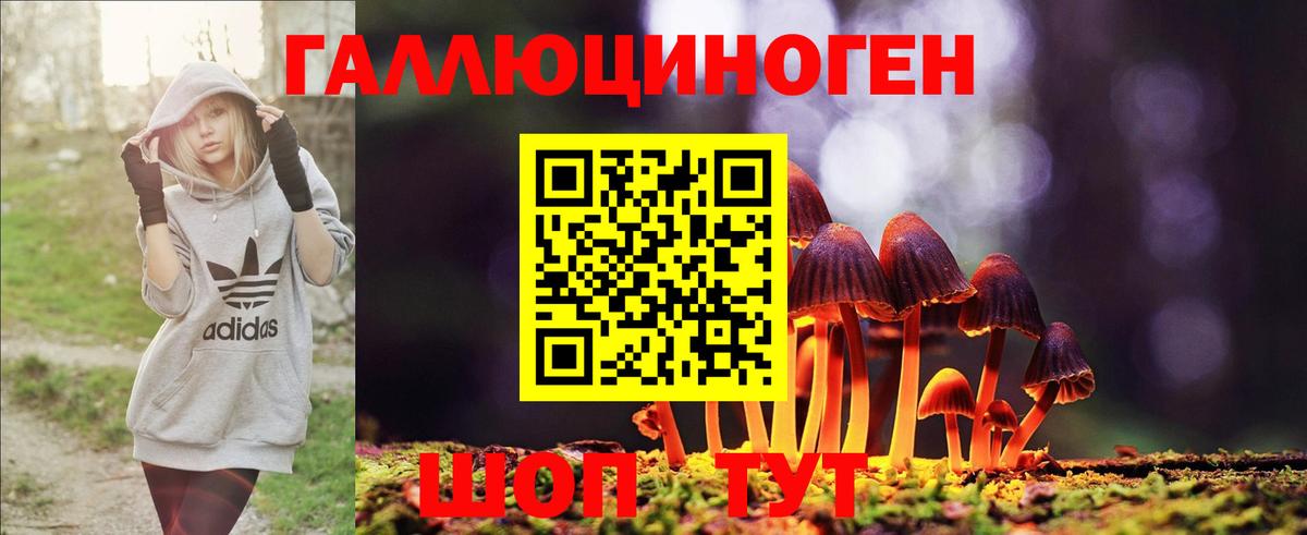 Усолье-Сибирское  Галлюциногенные грибы MAGIC MUSHROOMS  Вход с VPN 